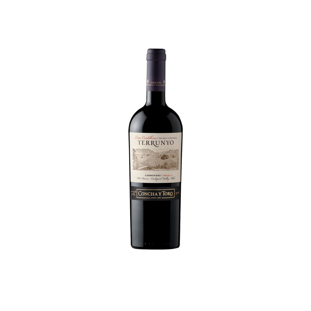 Terrunyo Carmenere